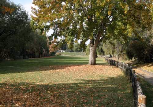 Tabano Hollow Dog Park photo 1